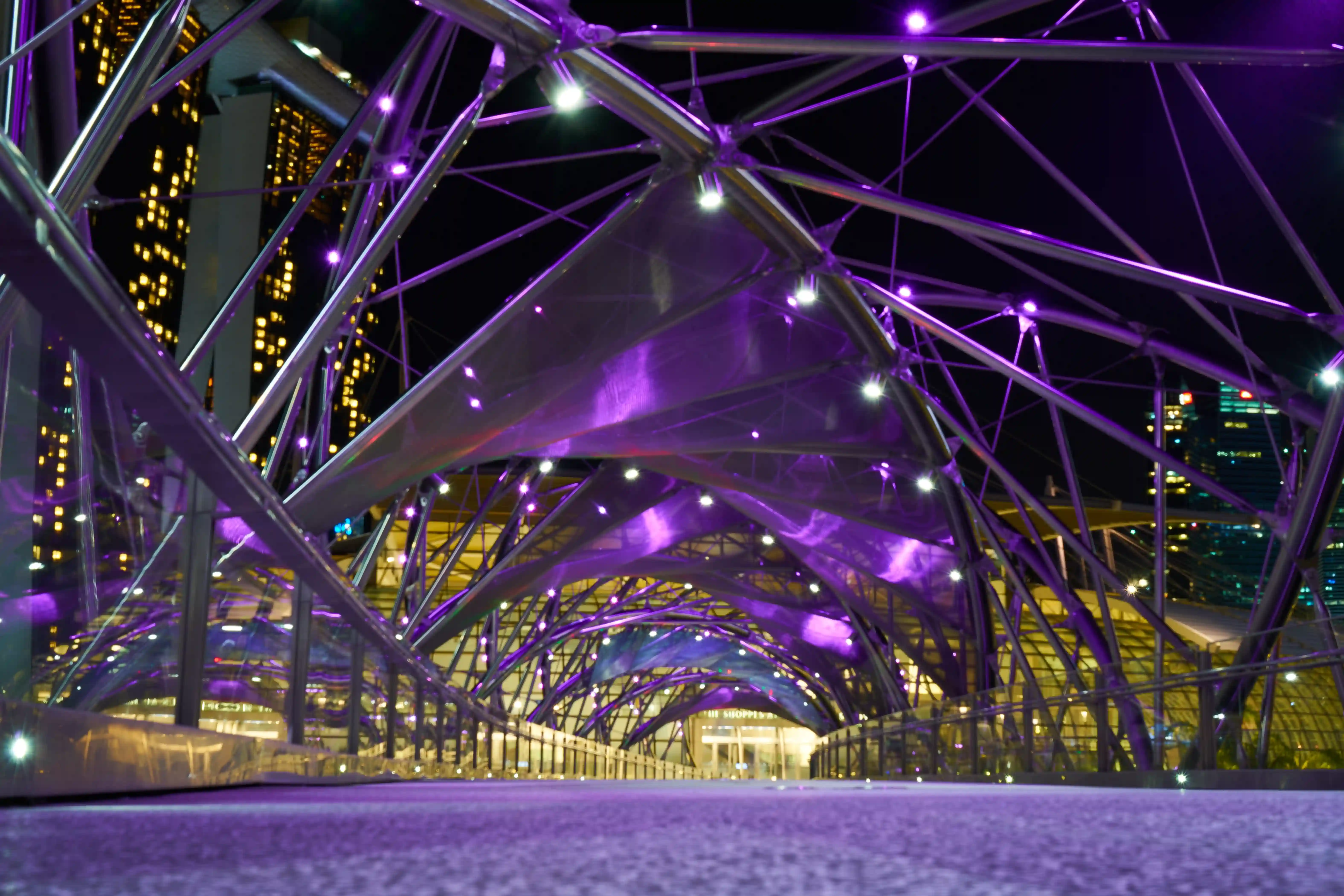 Theme Parks & Entertainment Venues